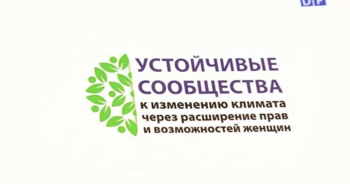 Примэрия села Чишмикиой выиграла грант на внедрение экологического проекта. Узнай что будет реализовано