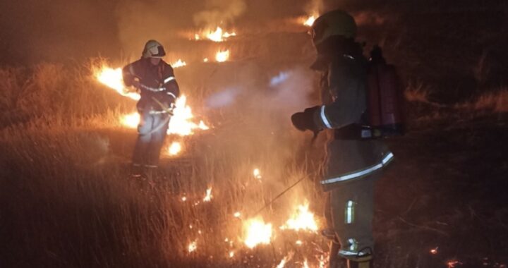 Оперативные выезды ЧСП Вулканешты за начало 2022 года