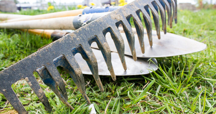 15 апреля объявляется «Санитарная пятница»