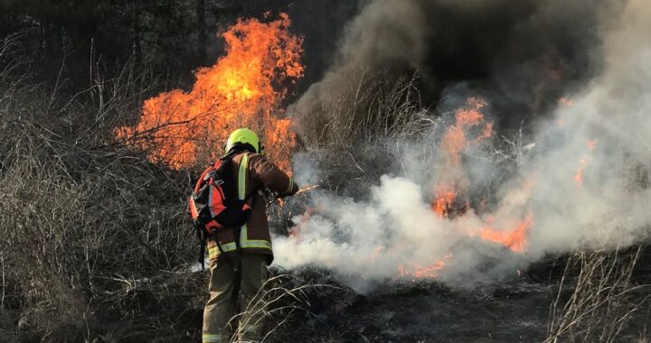 Оперативные выезды ЧСП Вулканешты в период с 01-28 апреля 2022 года