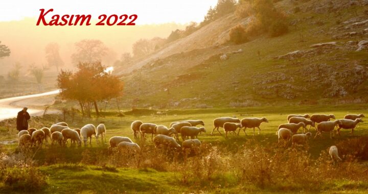 Дом культуры с. Чишмикиой  приглашает на празднование национального праздника — «Касым»