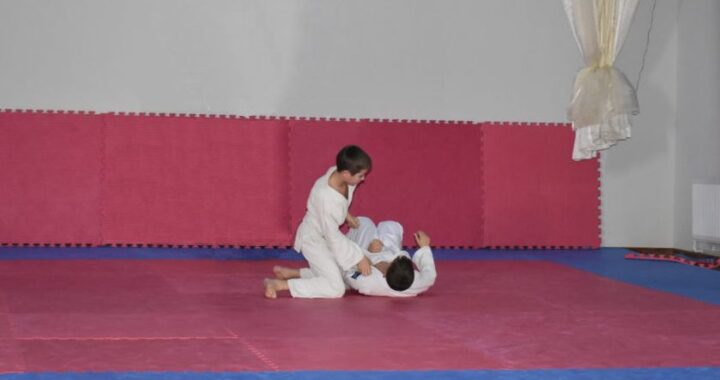 В с. Чишмикиой пройдет открытое первенство Вулканештского района по дзюдо