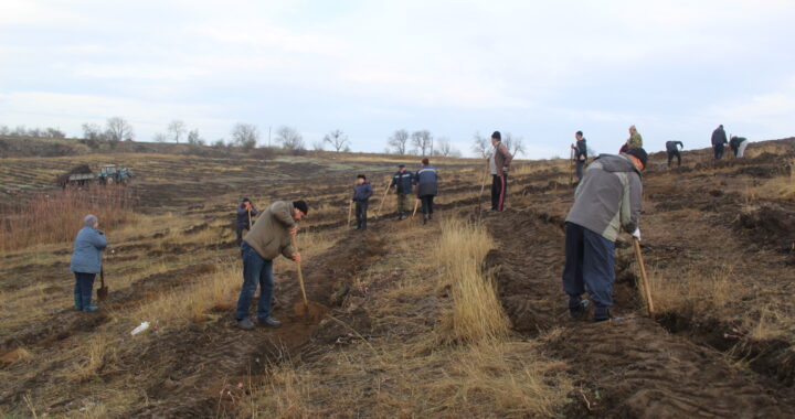 Масштабная экологическая  акция прошла в с.Чишмикиой