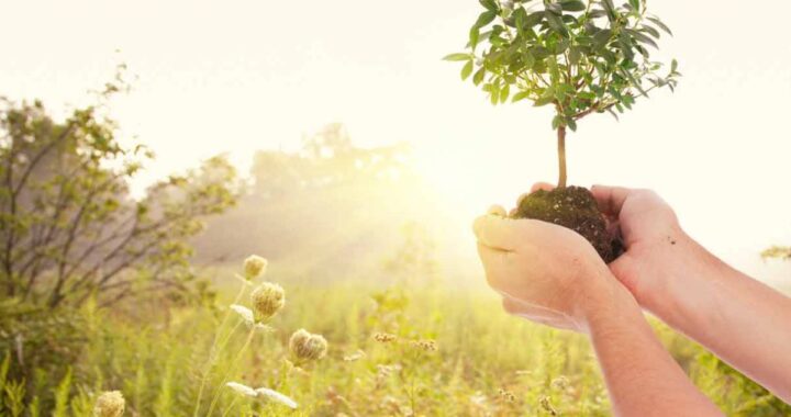 Прими участие в акции, внеси свой вклад в улучшение экологической обстановки села