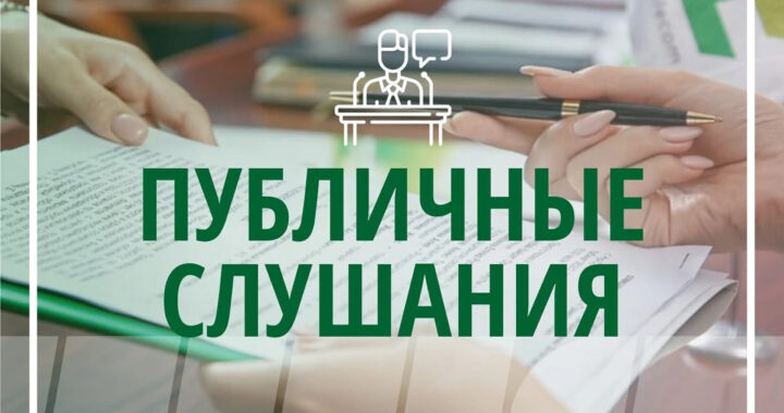 Публичные слушания по Стратегии социально-экономического развития на 2024–2028 годы