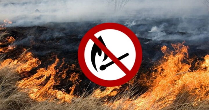 За сжигание сухой травы предусмотрен штраф