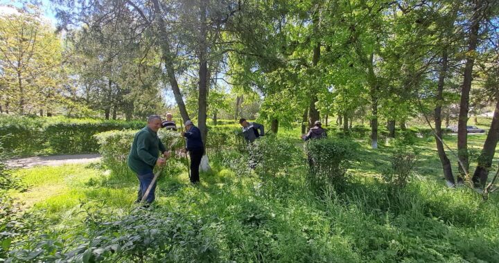 В с. Чишмикиой прошла санитарная пятница