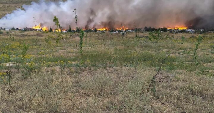 Поджог мусорного полигона близ села Чишмикиой