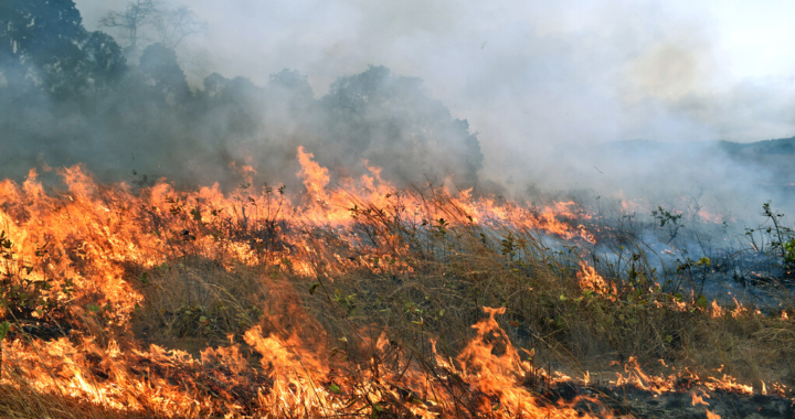 В Молдове продлен желтый код метеоопасности