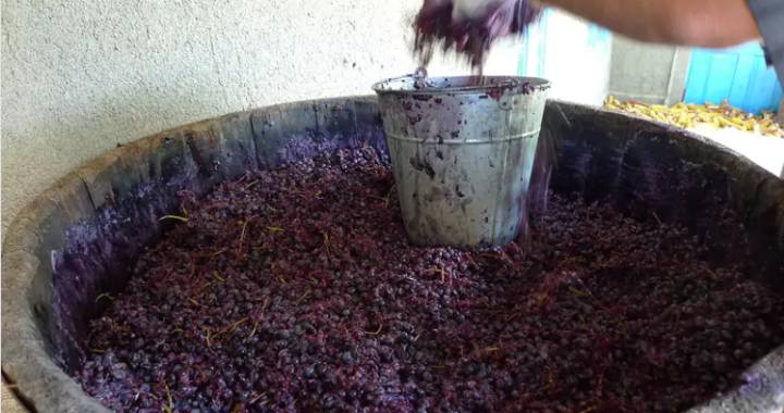 Правила безопасности при брожении вина