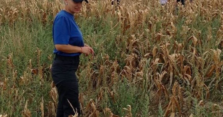 Объезд полей в с. Чишмикиой