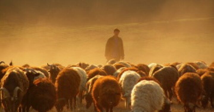 Поздравление с национальным праздником — Касым