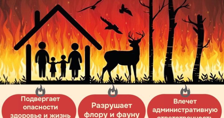 Служба Предупреждения ОЧС Вулканешты