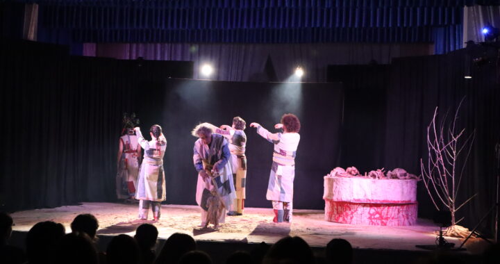 В селе Чишмикиой прошел показ турецкого театра из г.Анкара