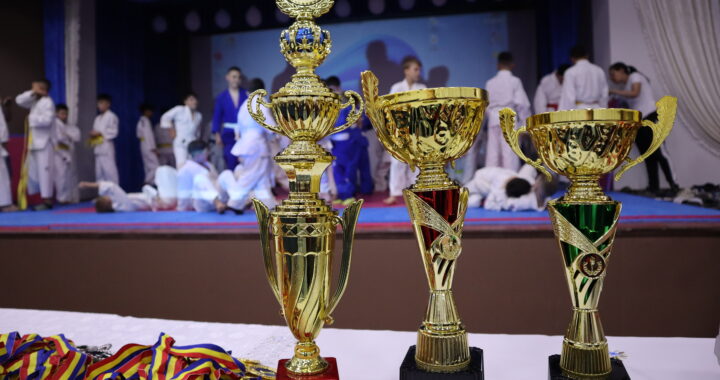 В с. Чишмикиой прошел открытый турнир Вулканештского района по дзюдо