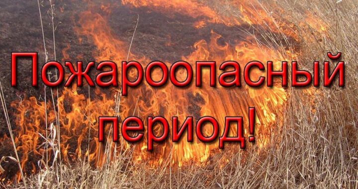 Правила пожарной безопасности в летний период