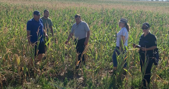 В с. Чишмикиой состоялся объезд полей