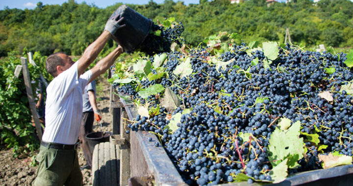 ТРЕБУЮТСЯ СЕЗОННЫЕ РАБОЧИЕ