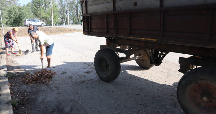 В с.Чишмикиой был проведен санитарный день