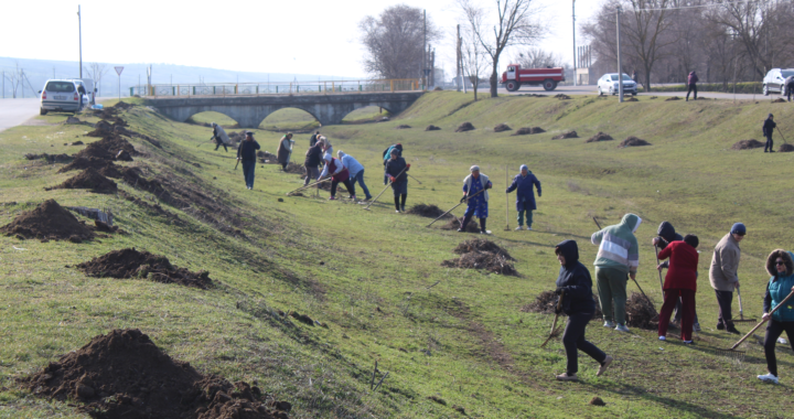 В селе Чишмикиой прошла санитарная пятница