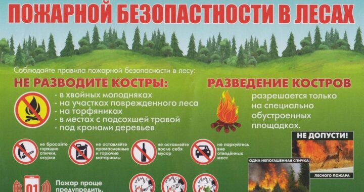 Меры пожарной безопасности в период проведения уборочной кампании и правила пожарной безопасности в лесу