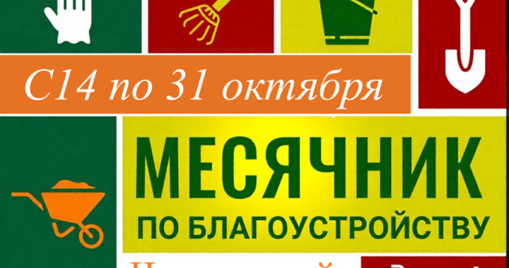 Осенний месячник по благоустройству и санитарной очистке